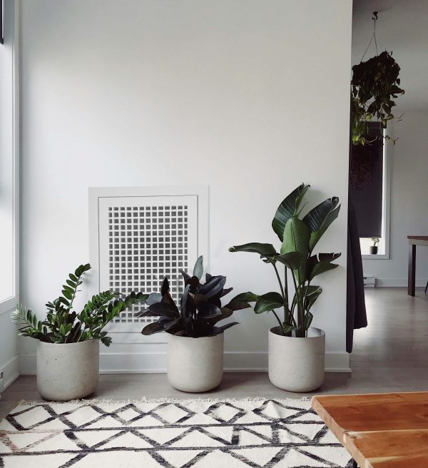 Wood Egg Crate Filter Grille installed on wall with three plants and a rug in the foreground and window to the left.